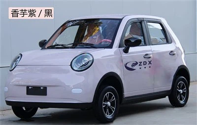 Low Speed Electric Vehicle YU MAI Mini Car